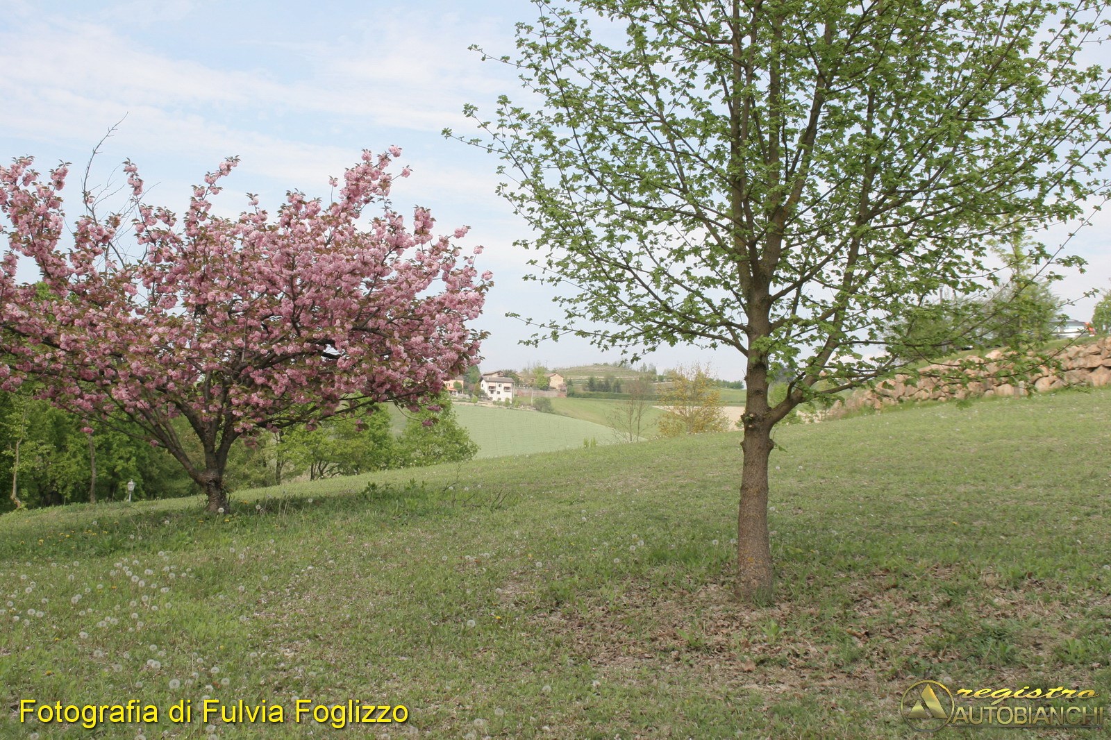 2015-04-19-Monferrato_614